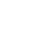 DeepSeek